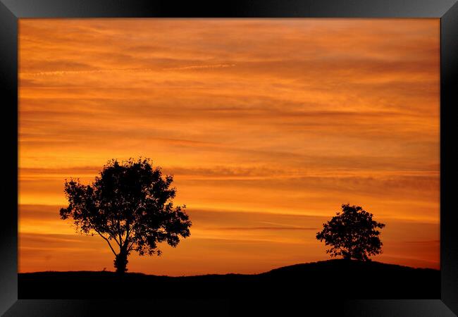 two trees and a sunset sky Framed Print by Simon Johnson