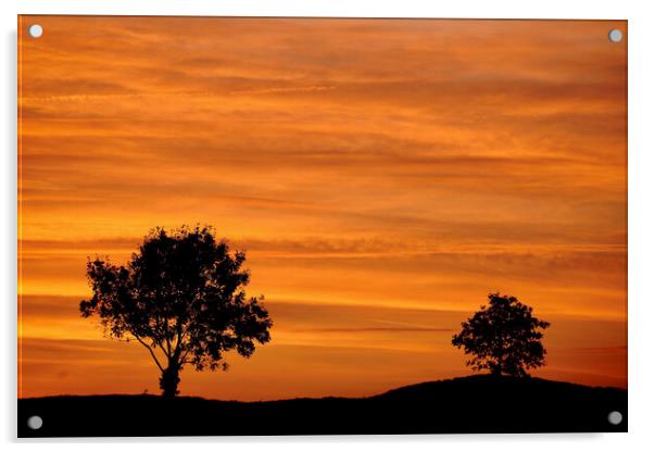 two trees and a sunset sky Acrylic by Simon Johnson