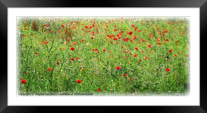 Wild Poppies Framed Mounted Print by Angela Lee