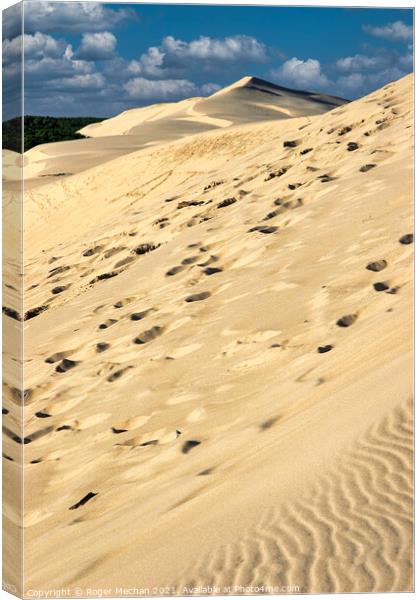 The Enveloping Dune Canvas Print by Roger Mechan