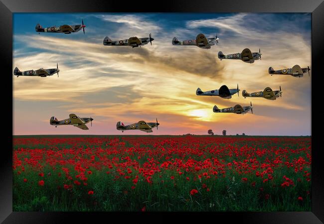 Spitfires Over The Poppy Field Framed Print by Derek Beattie