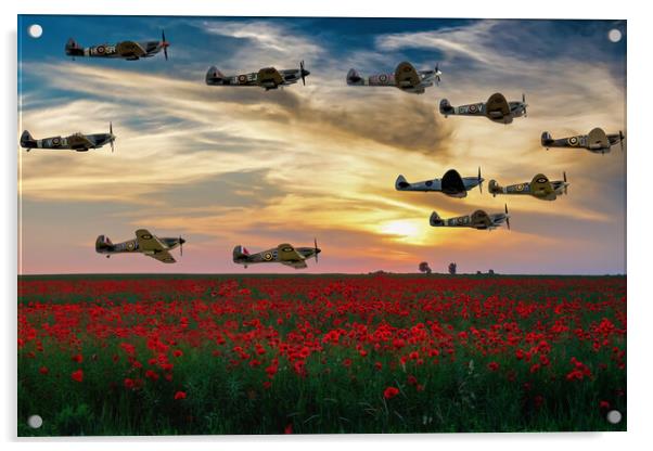 Spitfires Over The Poppy Field Acrylic by Derek Beattie