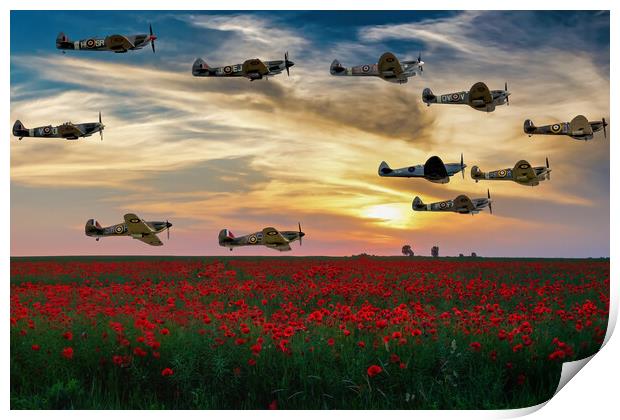 Spitfires Over The Poppy Field Print by Derek Beattie