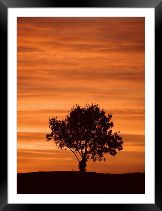 Sky cloud and tree Framed Mounted Print by Simon Johnson