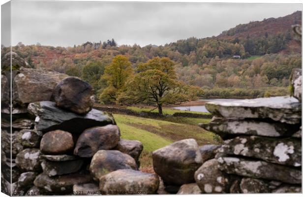 Rydal Water Shoreline Canvas Print by Peter Barber