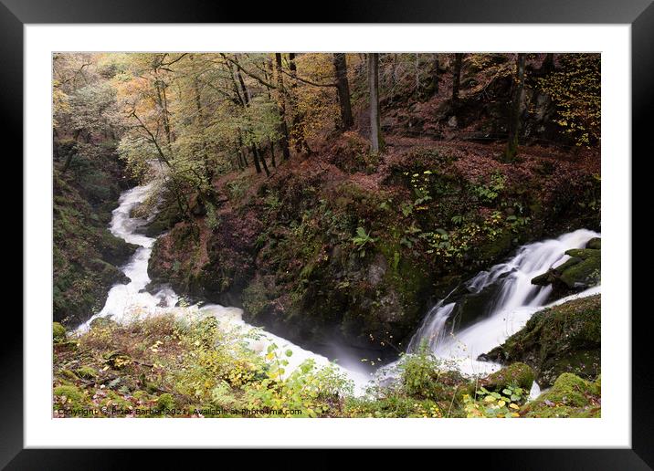 Stockghyll Force flowing downriver to Ambleside Framed Mounted Print by Peter Barber