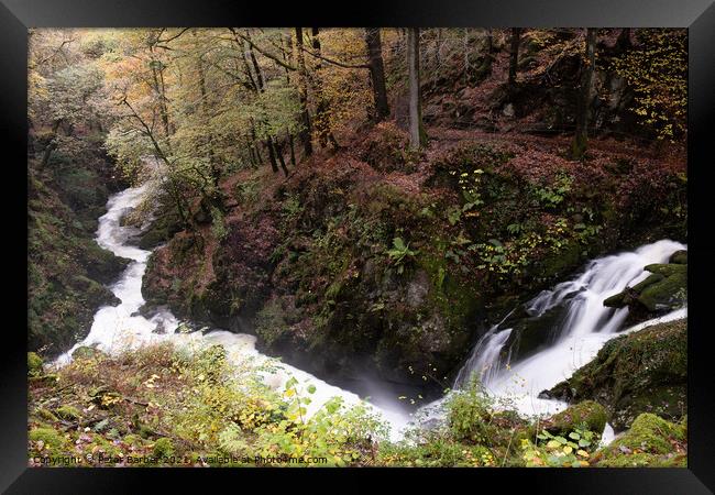 Stockghyll Force flowing downriver to Ambleside Framed Print by Peter Barber