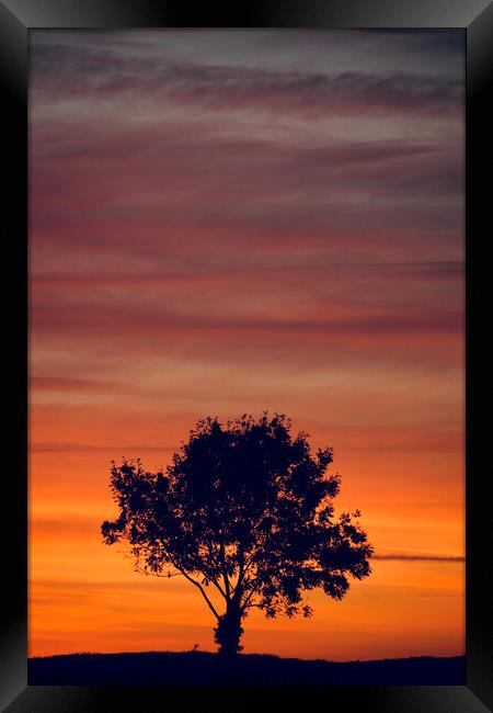 sunset clouds  and tree Silhouette   Framed Print by Simon Johnson