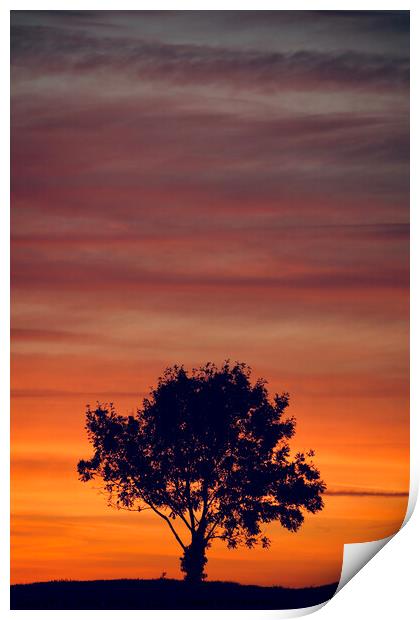 sunset clouds  and tree Silhouette   Print by Simon Johnson