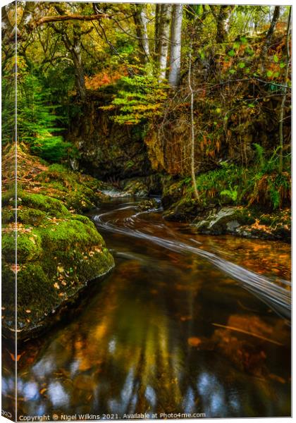 Aira Beck Canvas Print by Nigel Wilkins