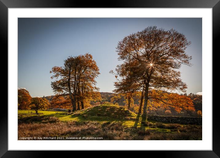 Autumn Trees at Rydal Framed Mounted Print by Ray Pritchard
