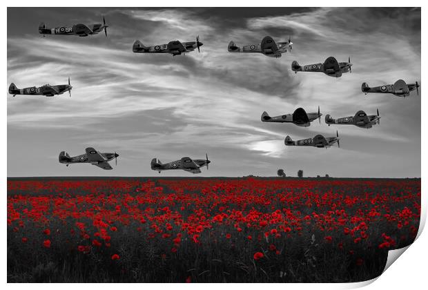 Spitfires Over The Poppy Field Print by Derek Beattie