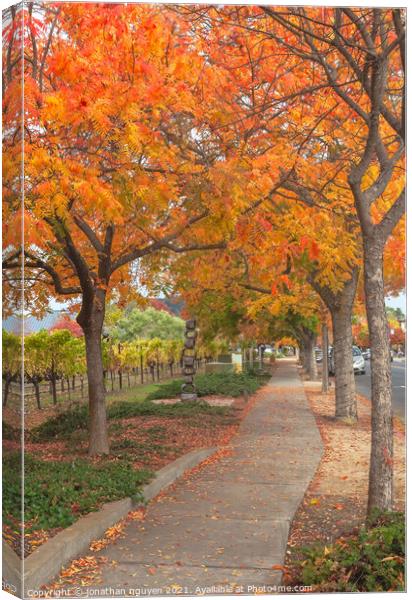 walk under the red trees Canvas Print by jonathan nguyen
