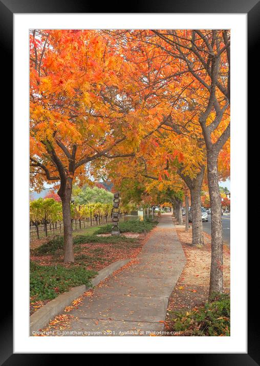 walk under the red trees Framed Mounted Print by jonathan nguyen