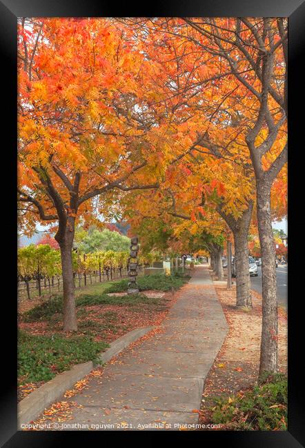 walk under the red trees Framed Print by jonathan nguyen