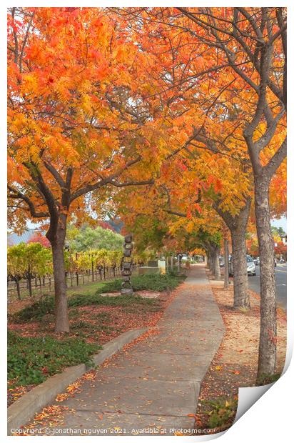 walk under the red trees Print by jonathan nguyen
