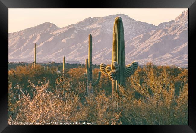 head of the pack Framed Print by jonathan nguyen