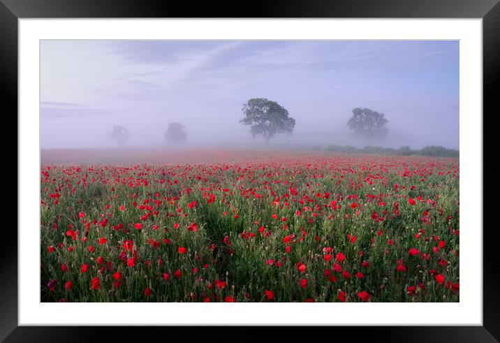 Opium Dreams Framed Mounted Print by David Semmens