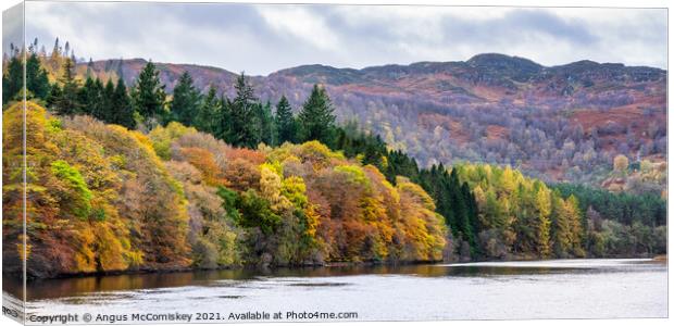 Panoramic view of autumn colours on Loch Faskally Canvas Print by Angus McComiskey