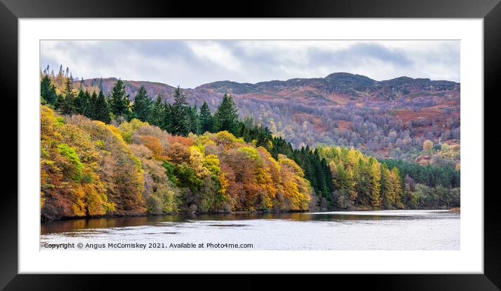 Panoramic view of autumn colours on Loch Faskally Framed Mounted Print by Angus McComiskey