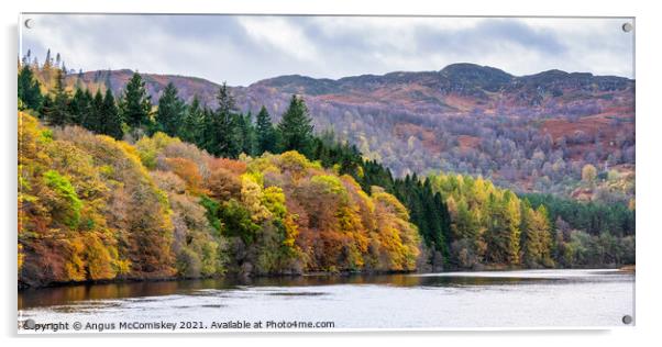 Panoramic view of autumn colours on Loch Faskally Acrylic by Angus McComiskey