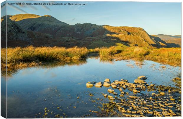 Coniston Fells from Walna Scar Road  Canvas Print by Nick Jenkins