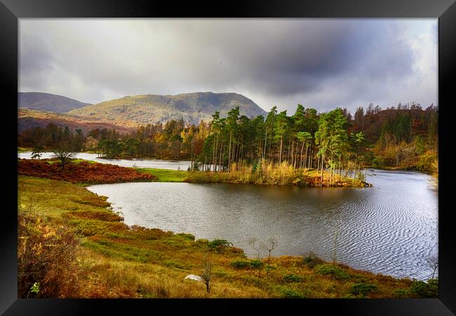 Howe Tarn Lake District Framed Print by Ceri Jones