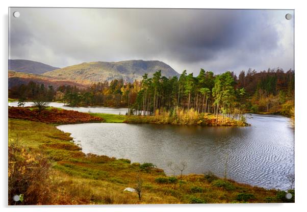 Howe Tarn Lake District Acrylic by Ceri Jones