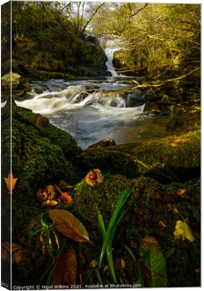 High Force Canvas Print by Nigel Wilkins