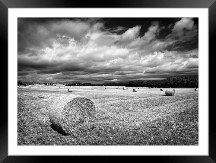  Hay Bales in South Yorkshire       Framed Mounted Print by Darren Galpin
