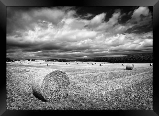  Hay Bales in South Yorkshire       Framed Print by Darren Galpin