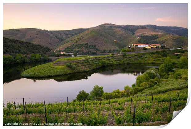 Douro wine valley region s shape bend river in Quinta do Tedo at sunset, in Portugal Print by Luis Pina