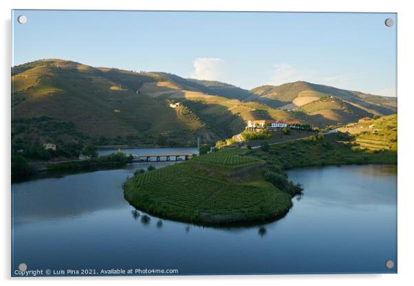 Douro wine valley region s shape bend river in Quinta do Tedo at sunset, in Portugal Acrylic by Luis Pina