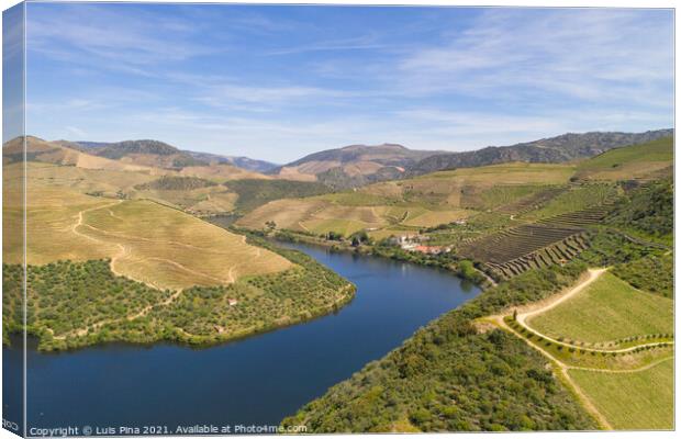 Douro river wine valley region drone aerial view, in Portugal Canvas Print by Luis Pina