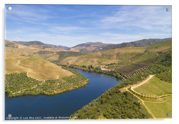 Douro river wine valley region drone aerial view, in Portugal Acrylic by Luis Pina
