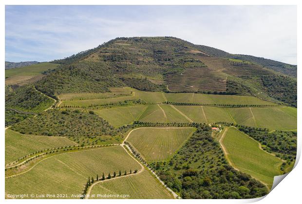 Douro river wine valley region drone aerial view, in Portugal Print by Luis Pina