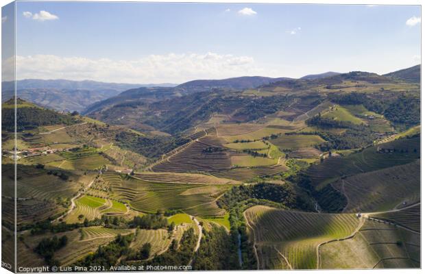 Douro river wine valley region drone aerial view, in Portugal Canvas Print by Luis Pina