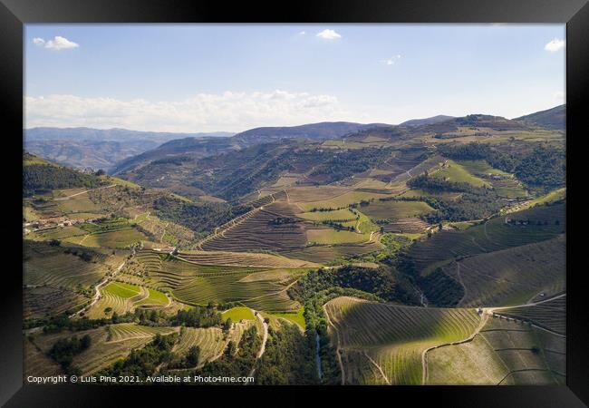 Douro river wine valley region drone aerial view, in Portugal Framed Print by Luis Pina