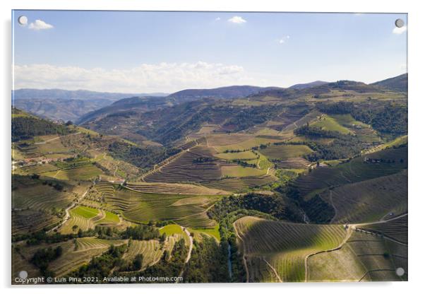 Douro river wine valley region drone aerial view, in Portugal Acrylic by Luis Pina