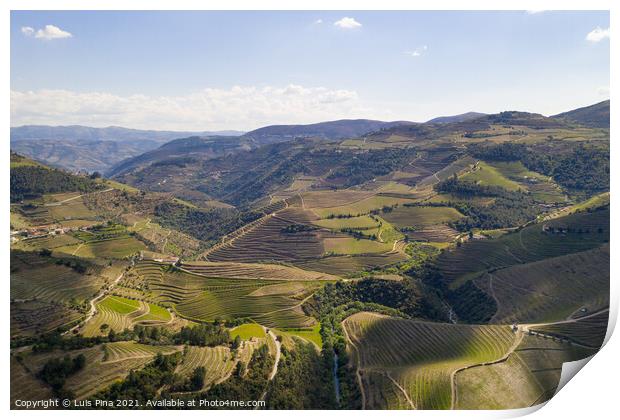 Douro river wine valley region drone aerial view, in Portugal Print by Luis Pina