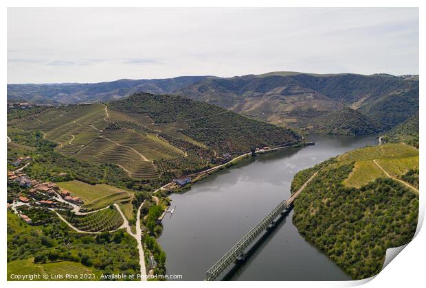 Douro railway bridge drone aerial view of river wine region in Ferradosa, Portugal Print by Luis Pina