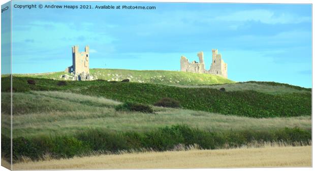 Dunstanburgh Castle viewed from dunes with summer  Canvas Print by Andrew Heaps