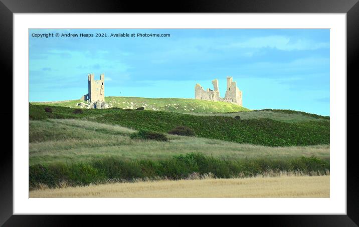 Dunstanburgh Castle viewed from dunes with summer  Framed Mounted Print by Andrew Heaps