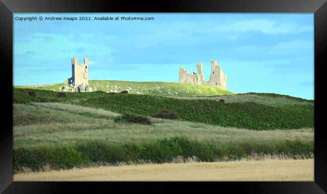 Dunstanburgh Castle viewed from dunes with summer  Framed Print by Andrew Heaps