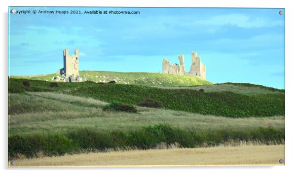 Dunstanburgh Castle viewed from dunes with summer  Acrylic by Andrew Heaps