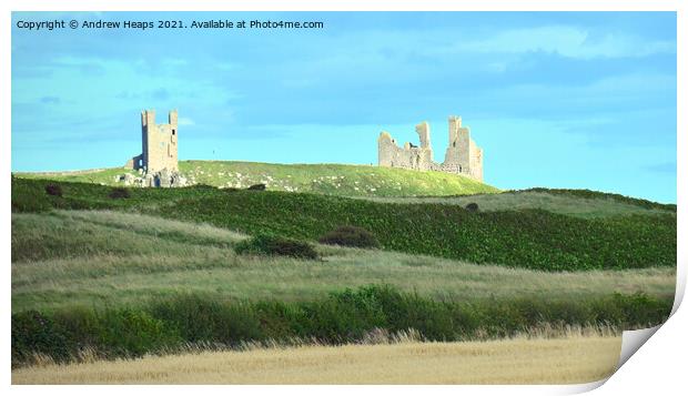 Dunstanburgh Castle viewed from dunes with summer  Print by Andrew Heaps