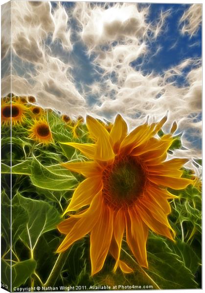 Electic sun flowers Canvas Print by Nathan Wright