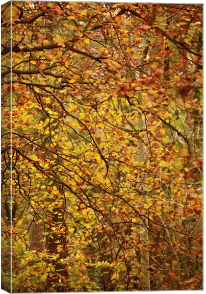Autumn lea es Canvas Print by Simon Johnson