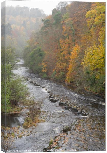 Staward Gorge in autumn Canvas Print by Heather Athey