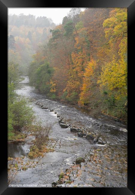 Staward Gorge in autumn Framed Print by Heather Athey